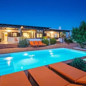 Agave // Cardon Villa